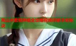 高山水蜜桃种植全攻略视频详解丰收秘诀