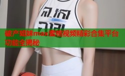 破产姐妹max蜜桃视频精彩合集平台功能全揭秘