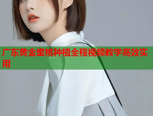 广东黄金蜜桃种植全程视频教学高效实用  第2张